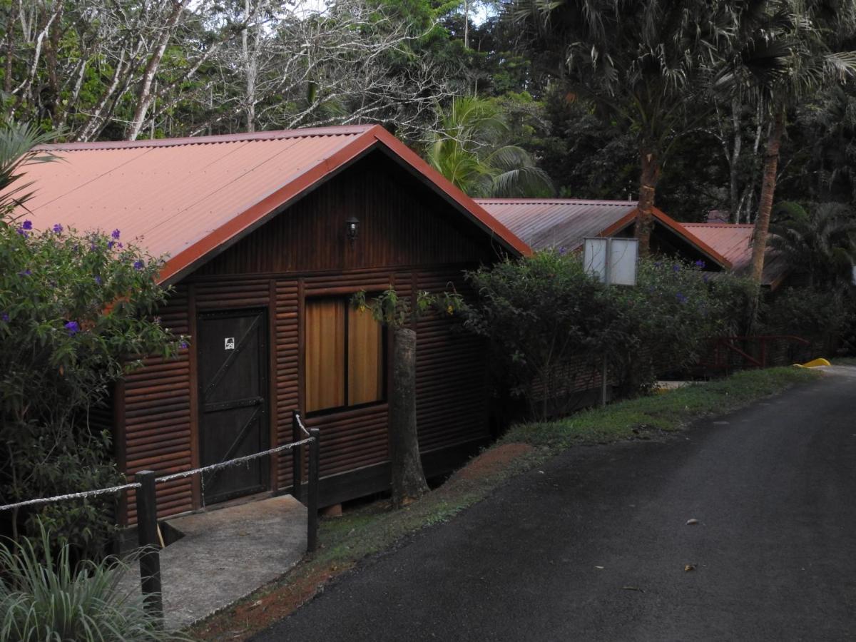 Hotel Pedacito De Cielo Boca Tapada Exterior photo